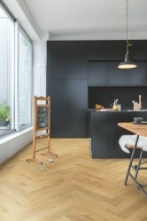 1fbabdd1d50869654b4a4b9066609cb6